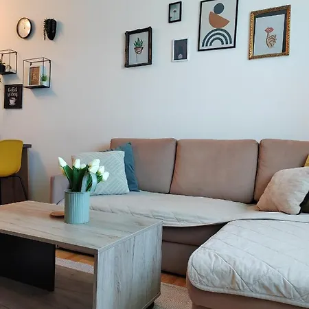 Apartment Krstic_lux *